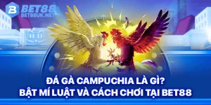Đá Gà Campuchia
