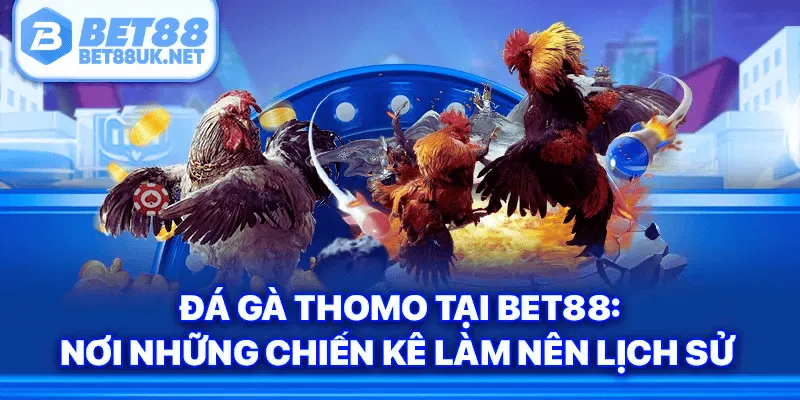 Đá Gà Thomo Tại Bet88