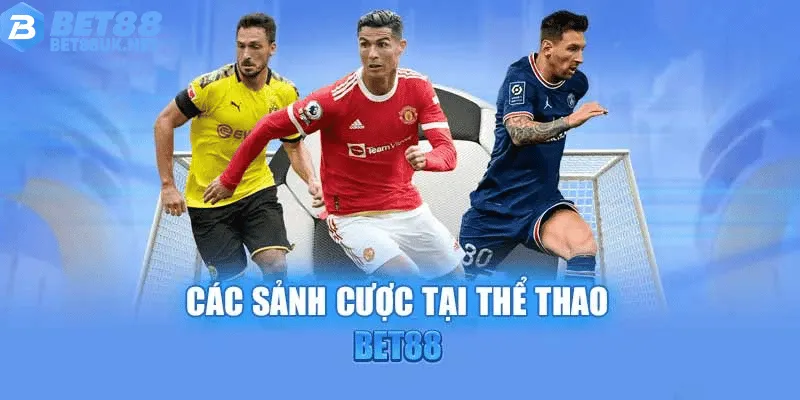 Khám phá các sảnh thể thao nổi bật tại Bet88