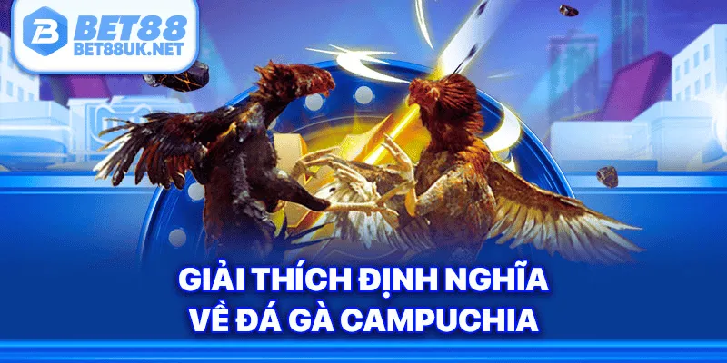 Tìm hiểu đặc điểm nổi bật của đá gà Campuchia