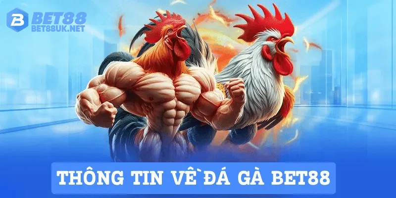 Tìm hiểu về nền tảng Đá Gà Bet88 đang được yêu thích hiện nay
